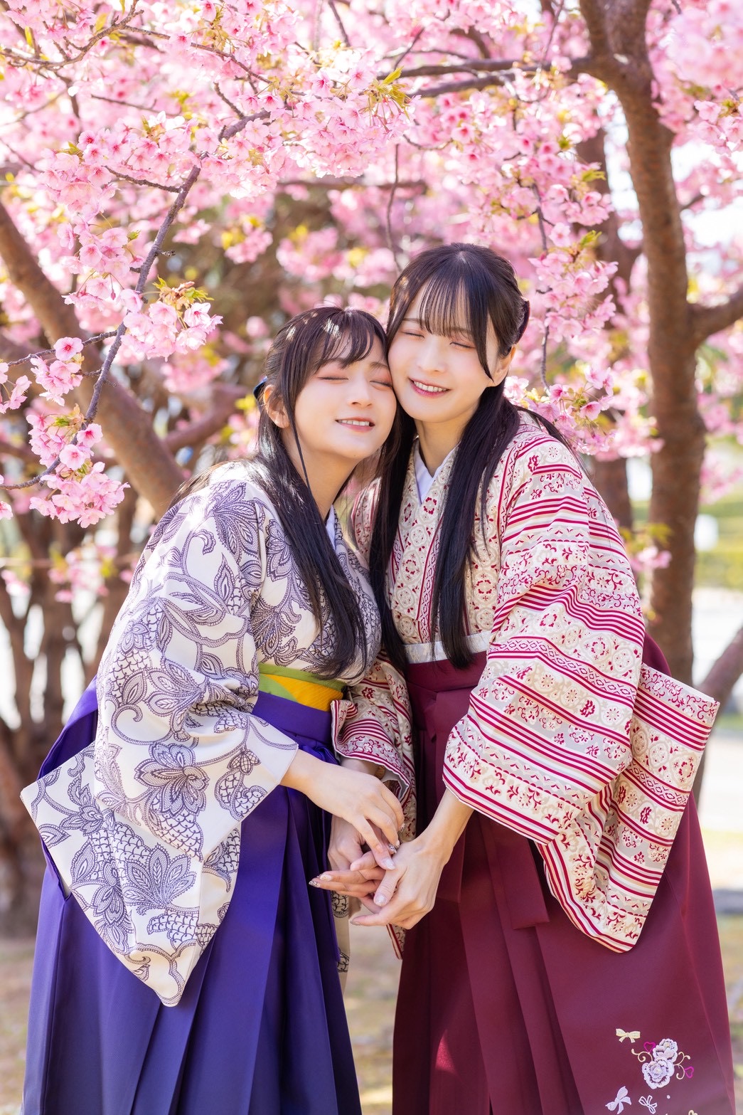 袴姿の女の子と河津桜