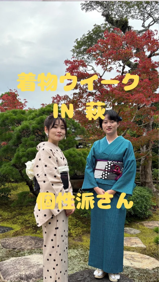 河津桜を堪能するのに陶芸の村公園は穴場！ | 萩ふくや